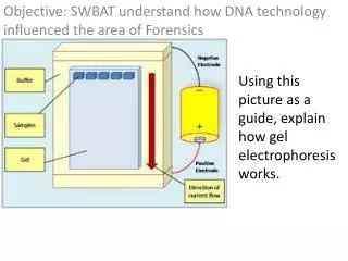 Objective: SWBAT understand how DNA technology influenced the area of Forensics