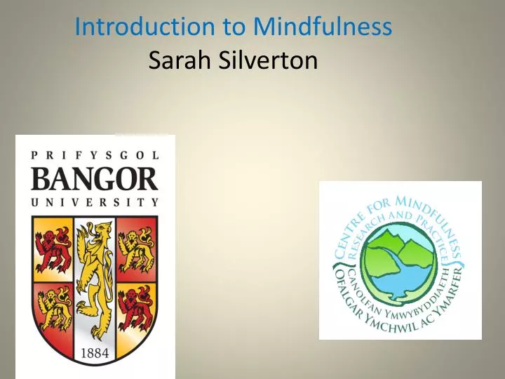 introduction to mindfulness sarah silverton