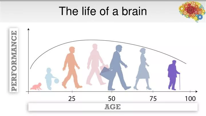 the life of a brain