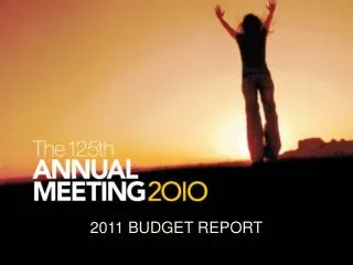 2011 BUDGET REPORT