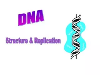 DNA