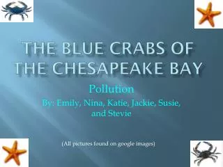 The Blue Crabs of the Chesapeake Bay