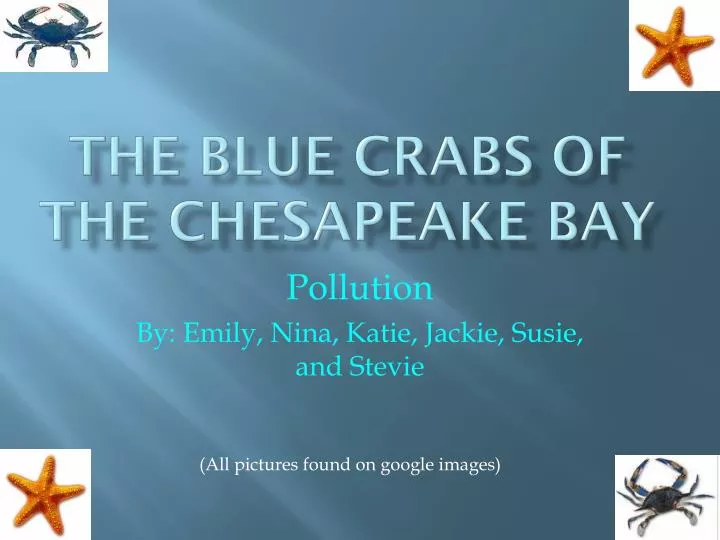 the blue crabs of the chesapeake bay