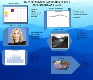 Comprehensive Organization of CSE 3 Assignments and Labs