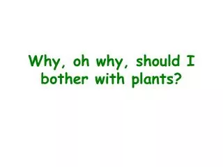 Why, oh why, should I bother with plants?