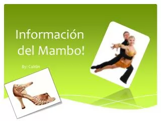 informaci n del mambo