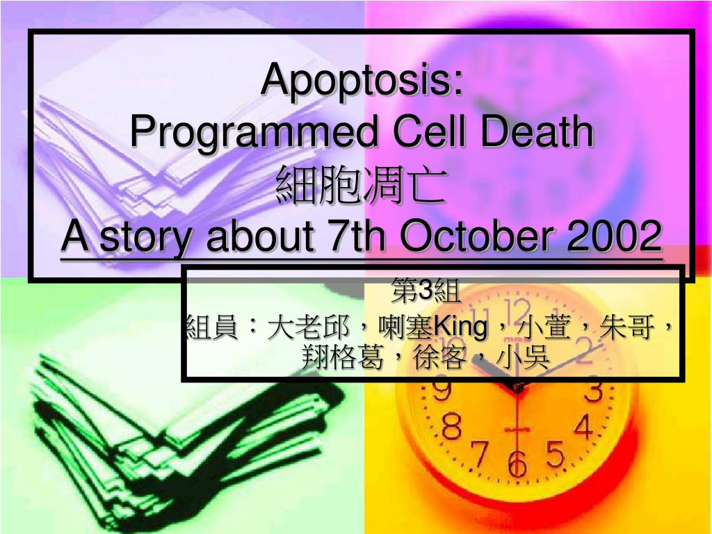 PPT - Apoptosis: Programmed Cell Death 細胞凋亡 A story about 7th October ...
