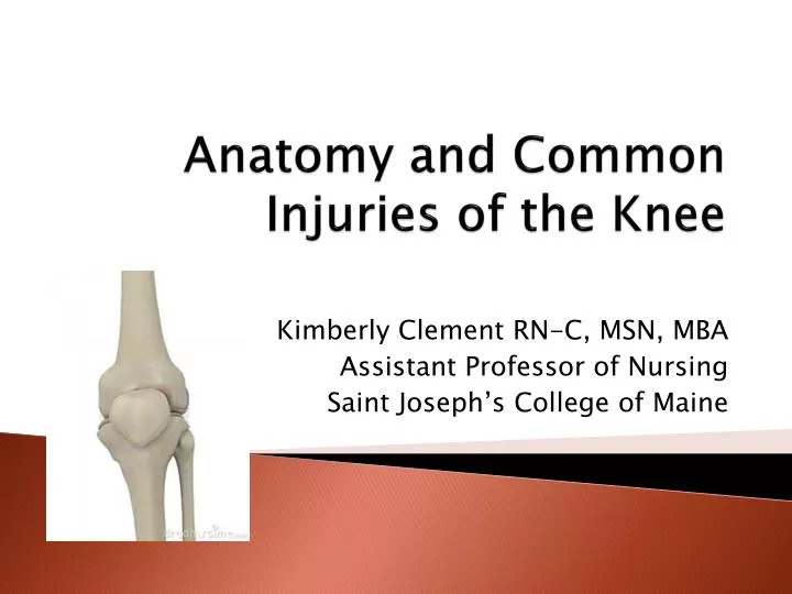anatomy and common injuries of the knee