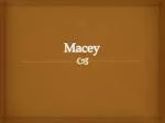 Macey - slide 1