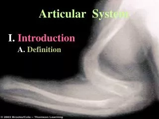 Articular System