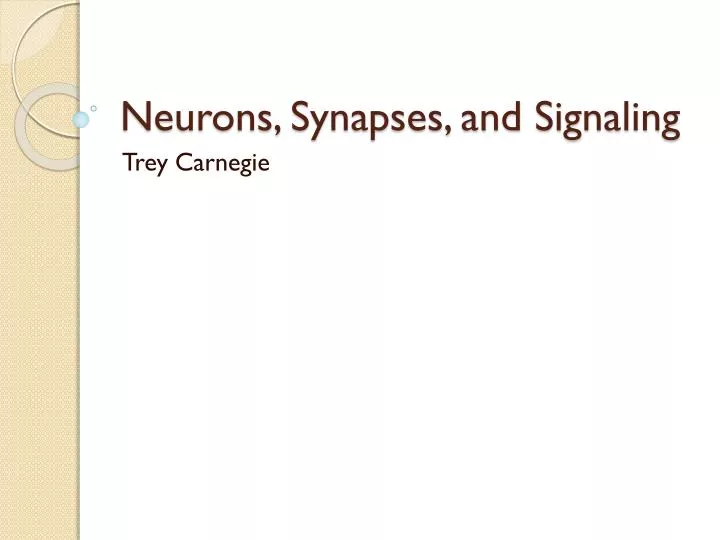 neurons synapses and signaling