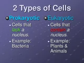 2 Types of Cells