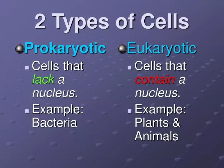 2 types of cells