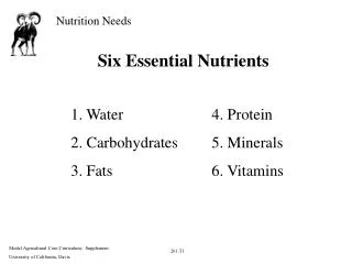 Six Essential Nutrients