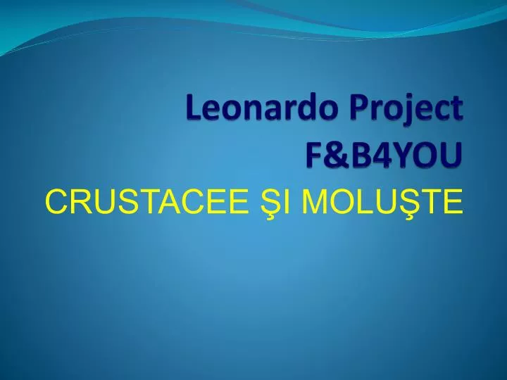 leonardo project f b4you