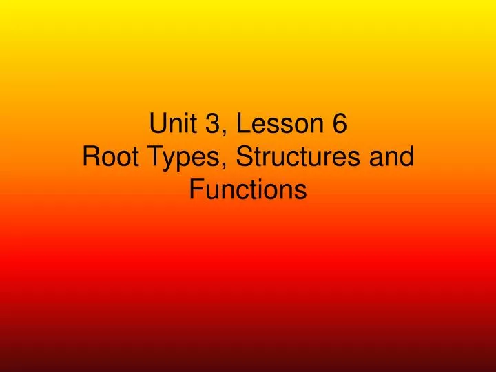 unit 3 lesson 6 root types structures and functions