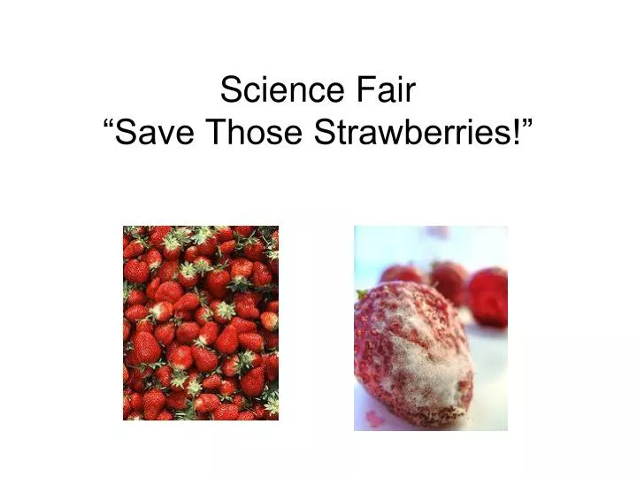 science fair save those strawberries