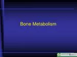 Bone Metabolism - slide 1