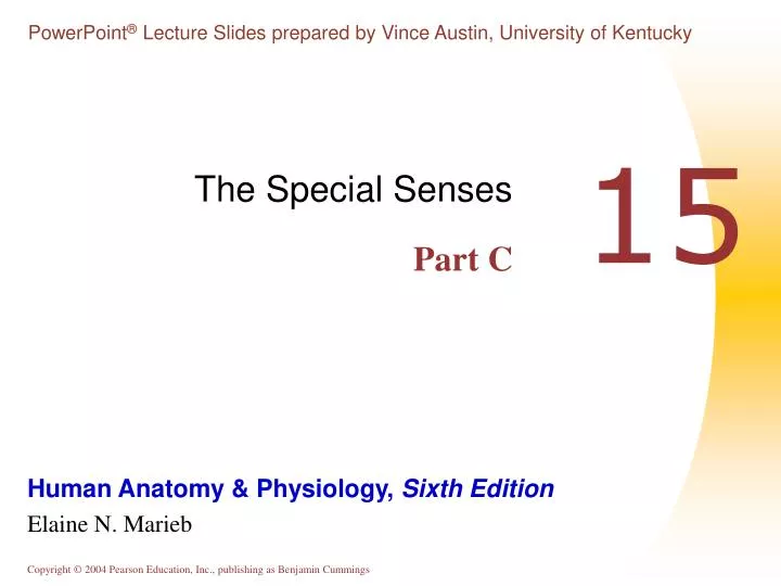 the special senses part c