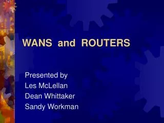 WANS and ROUTERS