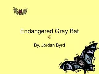 Endangered Gray Bat