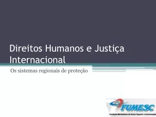 Direitos Humanos e Justiça Internacional