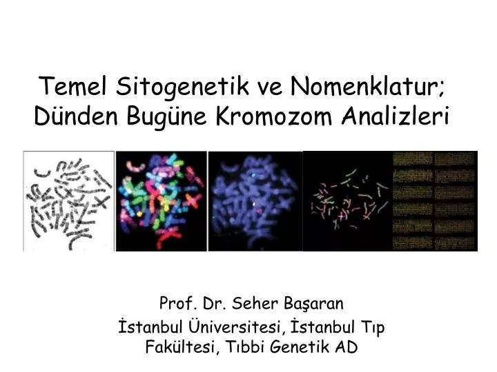 temel sitogenetik ve nomenklatur d nden bug ne kromozom analizleri