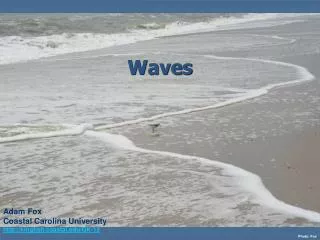 Waves