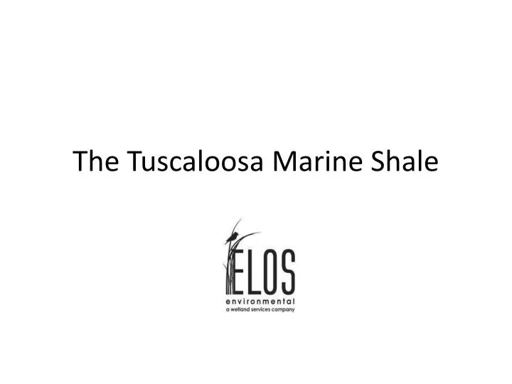 the tuscaloosa marine shale