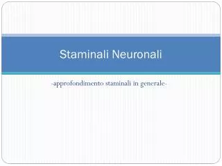 staminali neuronali
