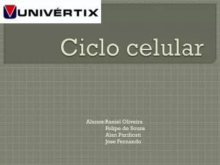 ciclo celular