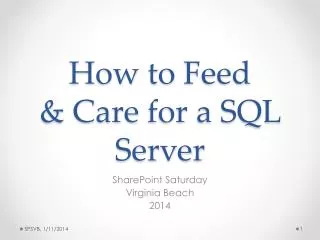 How to Feed &amp; Care for a SQL Server