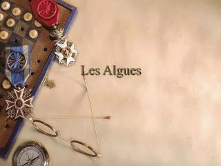 les algues