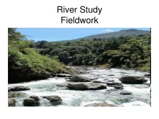 River Study Fieldwork
