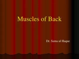 Muscles of Back