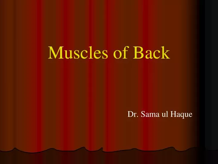 muscles of back