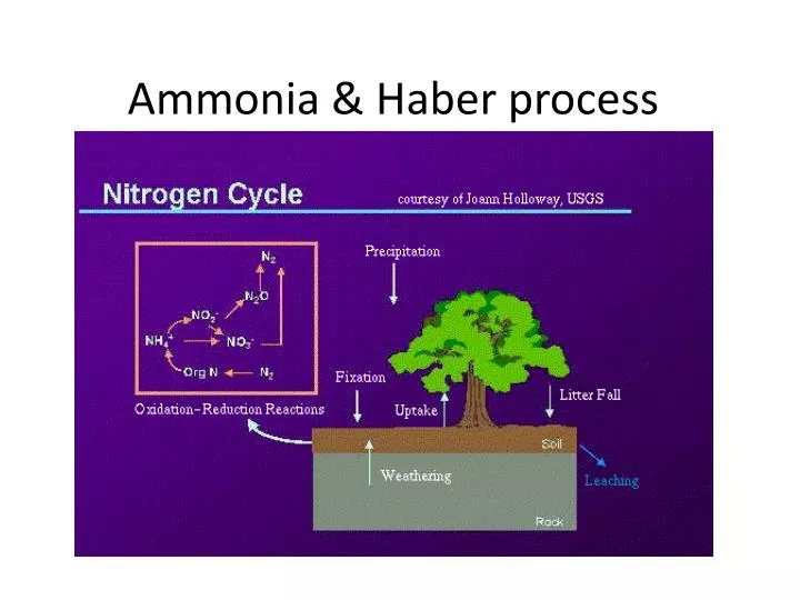 ammonia h aber process