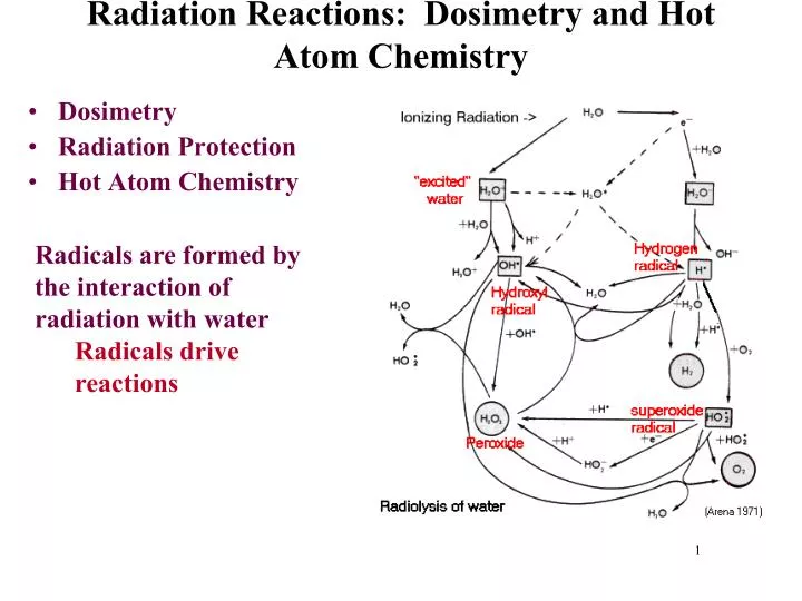 radiation reactions dosimetry and hot atom chemistry