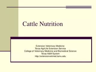 Cattle Nutrition