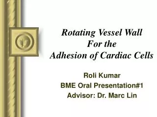 Rotating Vessel Wall For the Adhesion of Cardiac Cells
