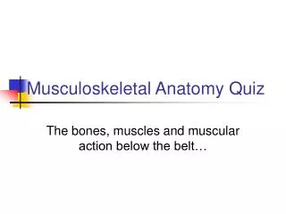 Musculoskeletal Anatomy Quiz
