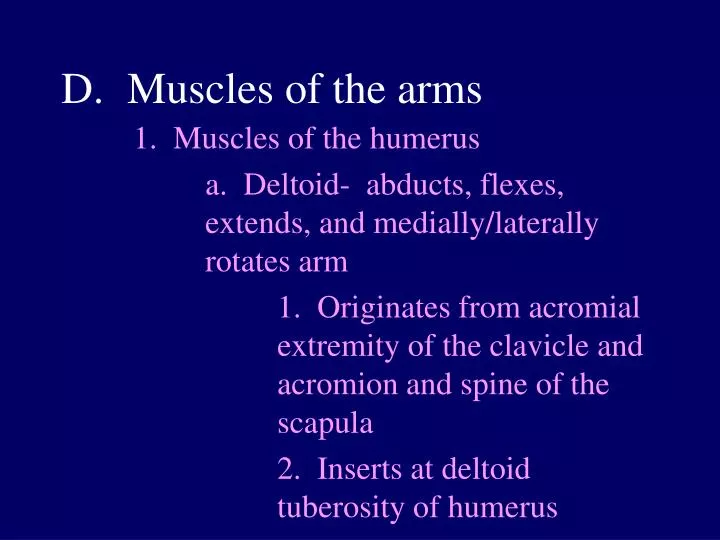 muscles of the arms