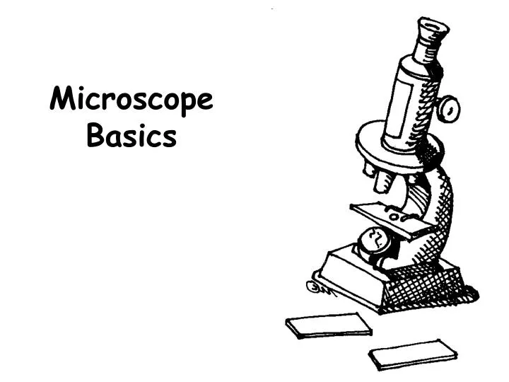 microscope basics