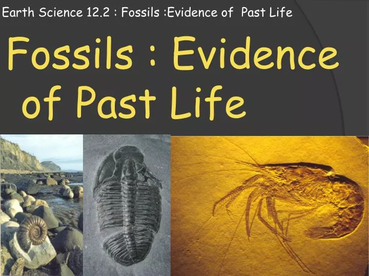 earth science 12 2 fossils evidence of past life