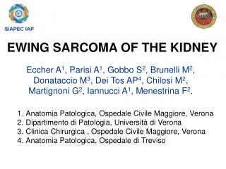 EWING SARCOMA OF THE KIDNEY