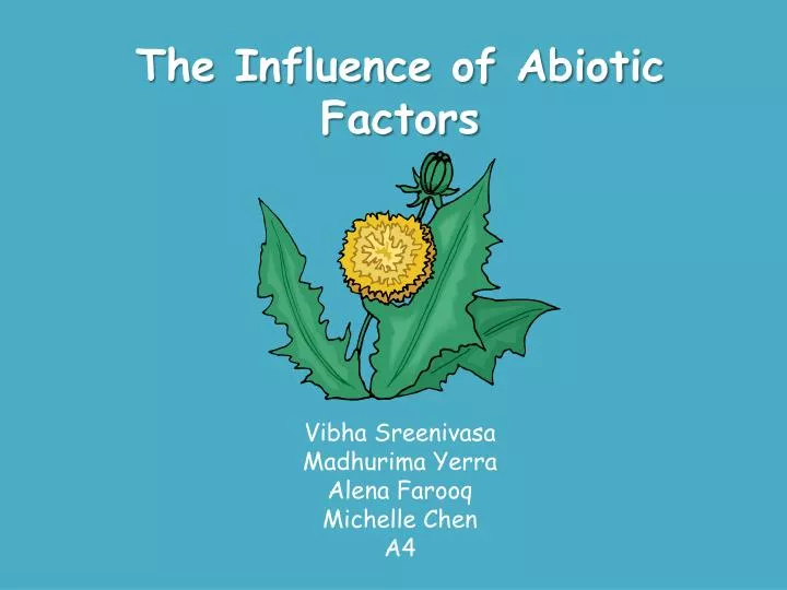 the influence of abiotic factors