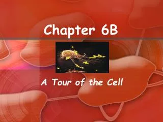 Chapter 6B