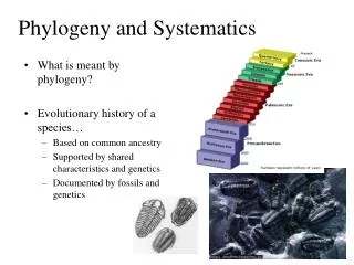 Phylogeny and Systematics