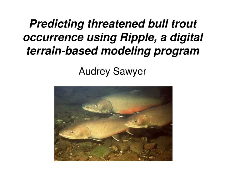 predicting threatened bull trout occurrence using ripple a digital terrain based modeling program