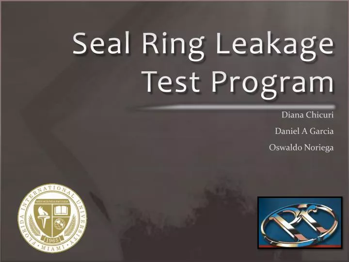 seal ring leakage test program